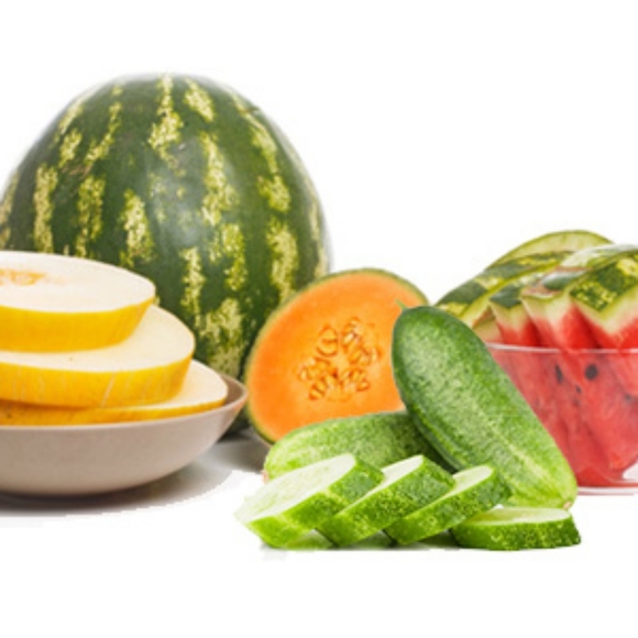 Cucumber Melon Body Lotion - Picture 8 of 8